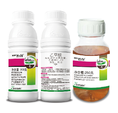 开云官网入口网页版下载巨封